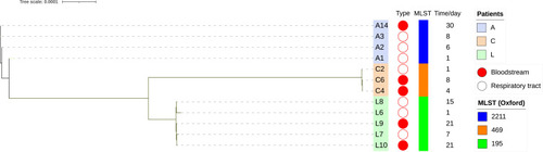 Figure 1 Phylogenetic analysis of A. baumannii collected from respiratory tract carriage to bloodstream infection in three patients. The phylogenetic tree was constructed based on core single nucleotide variants. The scale bar represented the number of nucleotide substitutions per sites. The colour of the outer of the trees denoted different patient. The red circle denoted isolates from bloodstream and the white circle denoted isolates from respiratory tract. The sampling time interval was listed on the right, and the first isolate in each patient was set day 1.