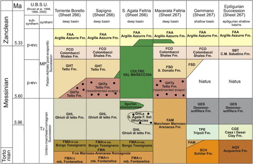 Figure 3. Tectono-stratigraphic scheme showing the relationships among the lithostratigraphic units belonging to the Umbro-Marchean-Romagna Succession, Padano-Adriatic Post-Evaporite Succession and Epiligurian Succession, of signiﬁcant sectors of the study and adjoining areas. UBSU subdivisions are from CitationRoveri et al. (1998, Citation1999, Citation2005). The lithostratigraphic formational labels and the sheet numbers derive from the Italian Geological Survey CARG Mapping Project.