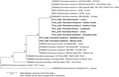Figure 4. Phylogenetic neighbour-joining tree generated from the most significant matK gene sequences listed in Table 3.