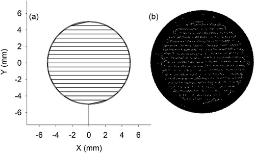 Figure 6. (a) Example of a programed deposition trajectory and (b) a map of particulate matter observed on a fabricated PNS wafer (right). A WSS (Minimal WSS, YGK, Japan) was used to detect particulate matters on the wafer.