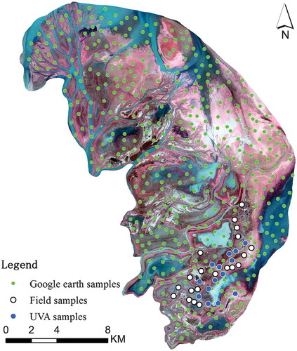 Figure 3. Distribution of samples.