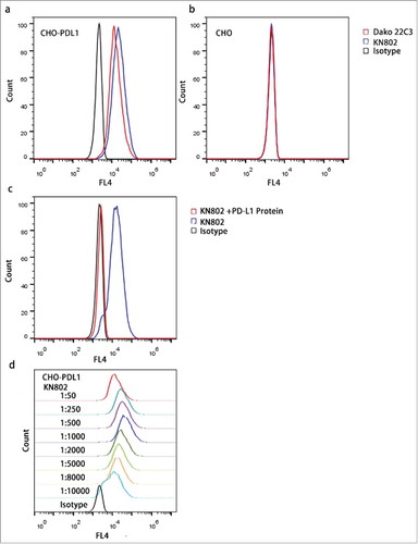 Figure 1. Specificity and sensitivity assessment of the PD-L1 mAb KN802. (a, b) KN802, the available PD-L1-specific antibody Dako 22C3 and species-matched isotype negative control were tested in PD-L1 overexpressed CHO-PDL1 and negative CHO cell lines with FCM. (c) Active binding sites of KN802 were blocked by co-incubation with PD-L1 recombinant protein. In parallel, unblocked KN802 and corresponding isotype were tested as positive and negative control, respectively. (d) KN802 was titrated to determine the sensitivity in a series concentration. The highest signal was observed at the diluted concentration of 1: 1000, which was chosen as the optimal working concentration.