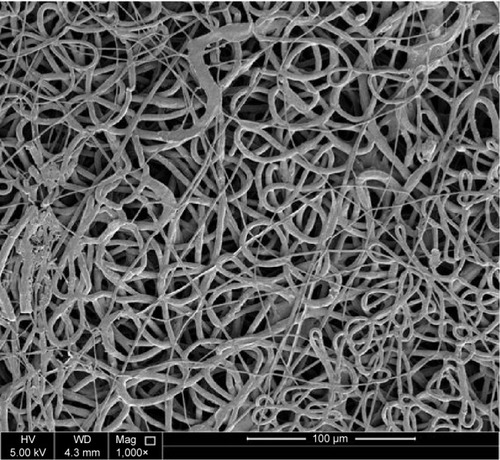Figure 3 SEM image of fabricated electrospun mat.Note: SEM image at 1,000× of electrospun nanofibers of PEO 8% (wt/v) using the following electrospinning conditions of 10 cm, 18 kV, and 0.3 mL/h.Abbreviations: SEM, scanning electron microscopy; PEO, polyethylene oxide; v, volume; wt, weight; HV, high voltage; Mag, magnification; WD, working distance.