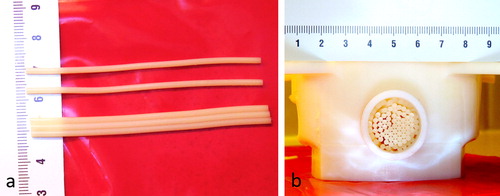 Figure 2. (a) Shaping of individual gel strands composed of tissue-mimicking gel (agar, glycerin, evaporated milk and degassed water). (b) Front view of the in vitro model of perfused tissue composed of densely packed gel strands embedded in a cylindrical cavity.
