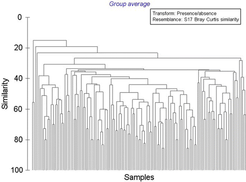 Fig. 13  Dendrogram of similarity in faunal composition of all sites, muddy substrata (n=139), eastern Waiheke Island, using presence/absence data.