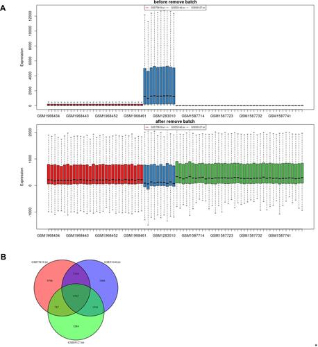 Figure 2 Batch effects elimination and Venn plot. (A) Batch effects elimination of datasets GSE65127, GSE53146 and GSE75819. (B) Venn plot revealed the number of overlapping genes among the three datasets.