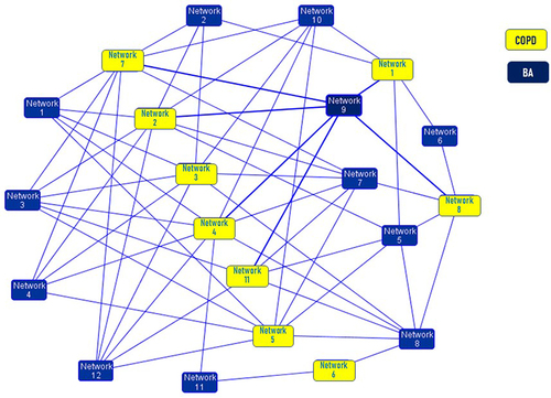 Figure 1 Overlapping networks between asthma and COPD. The Ingenuity Pathway Analysis software program identified 229 overlapping molecules between 12 asthma networks and 11 COPD networks, and merged them into a single larger network. In total, 229 genes were common to both diseases, and 190 and 91 genes were unique to asthma and COPD, respectively. Each network is represented by a colored rectangle, and is labeled with its corresponding network number. Adapted with permission from Dove Medical Press. Kaneko Y, Yatagai Y, Yamada H, et al. The search for common pathways underlying asthma and COPD. Int J Chron Obstruct Pulmon Dis. 2013;8:65–78.Citation8