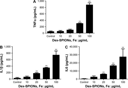 Figure 6 Dex-SPIONs induced inflammation of human monocytes.Notes: **P<0.01; n=3. Cells were treated with or without Dex-SPIONs (10–100 μg/mL) for 24 hours. (A) TNFα levels; (B) IL1β levels; (C) IL6 levels.Abbreviation: Dex-SPIONs, dextran coated superparamagnetic iron oxide nanoparticles.