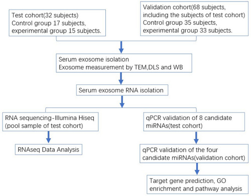 Figure 1 Study design summarizing the cohort, methodology, and data analysis. 500 μL serum from subjects in test or validation cohorts were used to isolate exosomes using the ExoQuick kit. Exosomes were measured by TEM and WB. Small RNA libraries were prepared and sequenced on HiSeq, and candidate miRNAs were validated by qRT-PCR.