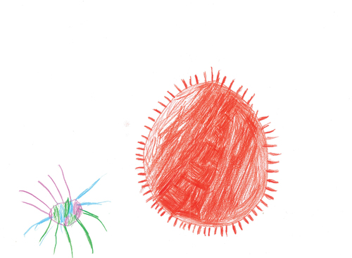 Figure 9. C7 COVID-19 viruses.