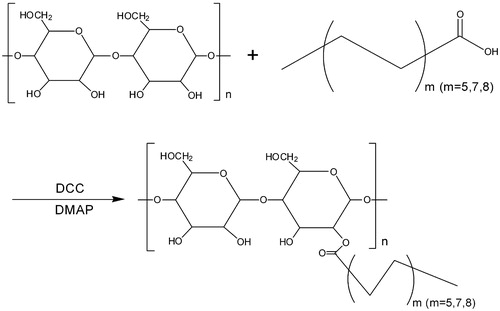 Figure 1. Synthesis of hydrophobically modified Bletilla striata polysaccharides with different fatty acids (m: the amount of carbon).