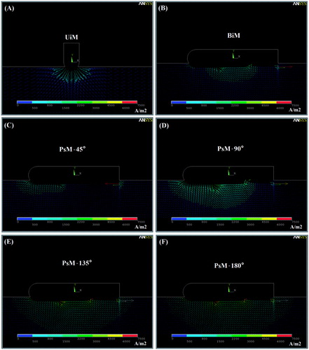 Figure 5. Current density distribution in the tissue considering three modes of ablation UiM, BiM and PsM.