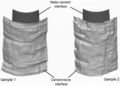 Figure 4. Three-dimensional surface reconstruction of the water-cement and cement-bone interfaces after ultrasound scanning and filtering of samples 1 and 2.