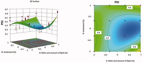 Figure 3. Three-dimensional surface plot (A); contour plot (B) illustrating the influences of independent variables A and B on PDI.