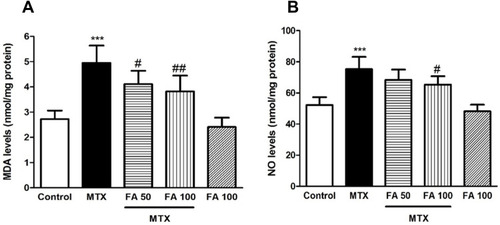 Figure 2 Effect of ferulic acid (FA) on markers of oxidative stress in methotrexate (MTX)-induced hepatotoxicity in mice. Values are means ± SD (n = 7). Data were analyzed by one-way ANOVA followed by Tukey’s post hoc test for multiple comparisons. *Signiﬁcant difference in comparison with the control group (***p< 0.001). #Signiﬁcant difference in comparison with the MTX group (#p< 0.05; ##p< 0.01).