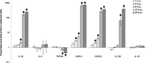 Figure 4. Transcription level of cytokine mRNA in chicken macrophages during 20 h after infection with A. fumigatus conidia. Data represent the normalized transcription level of a cytokine in the infected macrophages relative to that in the uninfected macrophages (control), which is considered one. Results expressed as mean±standard deviation of three replicates. *Significant difference compared with the control.
