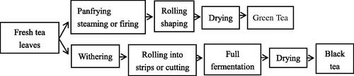 Figure 1. Main manufacture process of green tea and black tea.