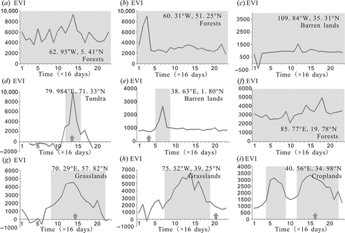 Figure 4. EVI time series of different phenological characteristics. Small arrows along the time axis refer to the approximate acquisition time of Landsat imagery used in this study. The estimated growing season is presented as a grey block in each example.