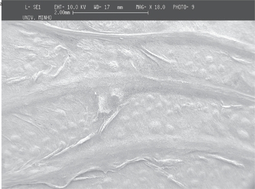 Figure 5 SEM images of PCL fiber meshes deposited in the screw collector: a) lower magnification of the fiber mesh, b) close-up showing the region of the mesh corresponding to the thread crest and c) the region between two consecutive threads of the screw collector.