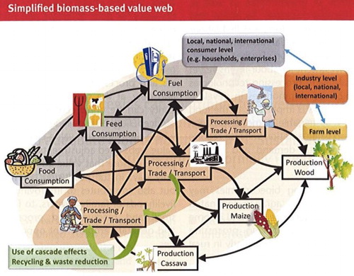 Figure 1. Virchow et al.’s biomass-based value web.