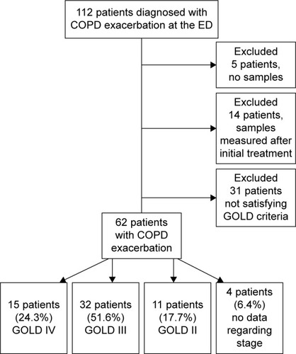 Figure 1 Flowchart of patients who met inclusion/exclusion criteria for the study population.