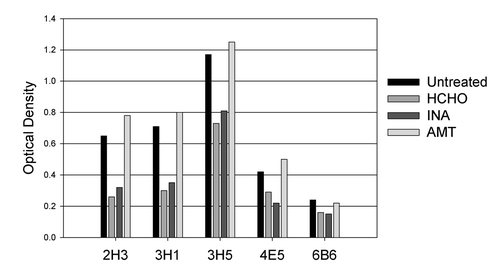 Figure 2. Binding of monoclonal antibodies 2H3, 3H1, 3H5, 4E5 and 6B6 to live dengue-2 virus (untreated) and virus inactivated by HCHO (formaldehyde), INA or AMT. Viruses were coated onto wells of a Microtiter ELISA plate and reacted with antibodies in a standard ELISA assay using an HRP-conjugated anti-mouse IgG. Data shown are representative of two independent determinations.