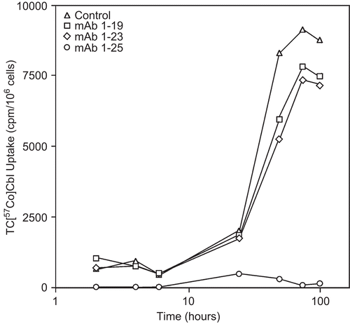 Figure 4.  Effect of antibody in the culture medium on the cellular uptake of TC-Cbl. K562 cells were incubated with 120 pmoles mAb 1-19, 1-23, and 1-25, then 0.026 pmoles of recombinant TC saturated with 57CoCbl was added to culture medium and incubated for 2 h, 4 h, 6 h, 24 h, 48 h, 72 h, and 96 h. Cells were collected to measure uptake of TC-Cbl at each time point. MAb 1-25 inhibited uptake of TC-Cbl throughout the 96h culture period.