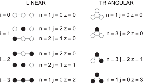 Figure 6.  Possible states available to a trimer arranged according to a linear or a triangular structure. Circles indicate subunits and pairs of interacting subunit are connected by a line segment. Black circles represent subunits in the “bound” configuration. The parameters (see text for a definition) i, n, j, and z characterizing each possible state are indicated.