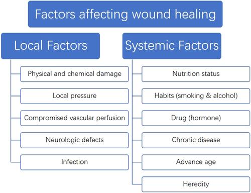 Figure 2 Factors affecting wound healing.