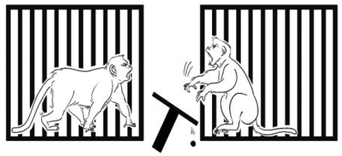 Figure 4. Avoidance. A monkey did not take the food but throwing the tray to maximize its rejection.