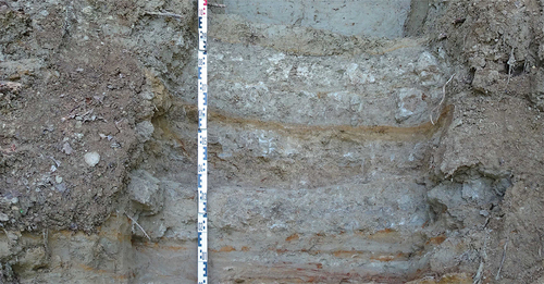 Fig. 4. Example of a trench in Quaternary sediments.