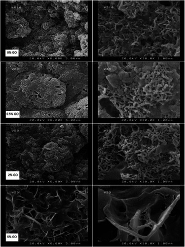 Figure 7 FESEM pictures of 0%, 0.5%, 2% and 5% cements after soaking for 7 days.Abbreviation: FESEM, Emission scanning electron microscopy.