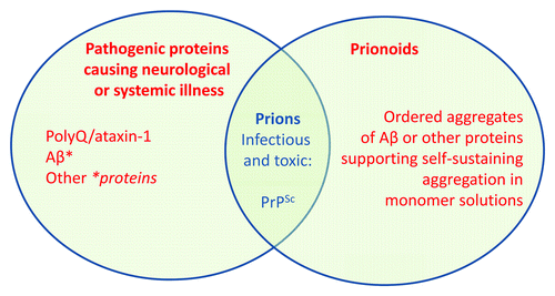 Figure 1. Prions, prionoids and pathogenic proteins in neurodegenerative diseases. PrPSc is considered to be the transmissible agent of the prion causing scrapie, Creutzfeldt-Jakob disease and related spongiform encephalopathies. Nucleating fibrillar protein aggregates (“prionoids”) are found in many neurodegenerative diseases. With the exception of PrPSc, there is little evidence in mice or humans linking prionoids in the brain to the pathophysiological processes that cause the disorders connected with these proteins. Instead, accumulating data indicate that the brain dysfunction and neurological signs associated with these illnesses are caused by non-fibrillar variants of the parent proteins (*proteins). In the case of Aβ, brain dysfunction in mice and CSF tau abnormalities in humans are strongly associated with a soluble 56-kDa assembly, Aβ*. The existence of other Aβ* molecules has not been excluded. The *proteins need not be misfolded in the sense of adopting novel secondary structure, which invariably involves β-sheets. PolyQ/ataxin-1 is the best example. Distinguishing between prionoids and *proteins, and understanding how *proteins cause neurological illness, will advance our progress in treating these profoundly devastating and fatal disorders.