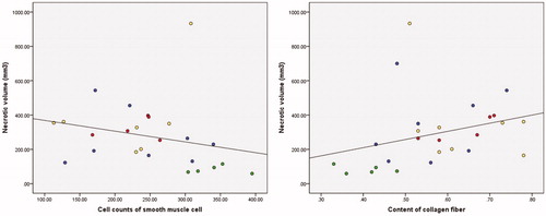 Figure 8. Correlation between necrotic tissue volume and histopathological characteristics. (A) Necrotic volume and SMC count and (B) Necrotic volume and collagen fiber content. Red spots: hypo-intense; yellow spots: isointense; blue spots: heterogeneous intense; green spots: homogeneous hyper-intense.