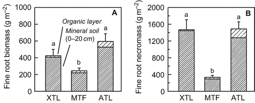 Figure 4 Fine root biomass (live roots) and fine root necromass (dead roots) in the organic layer and the upper mineral soil of the three Nothofagus pumilio stands. Values are means ± SE; n = 10. Different letters indicate statistically significant differences among the forests in terms of profile totals (P < 0.05). XTL: xeric treeline, MTL: mid-altitude tall forest, ATL: alpine treeline. Note that the scales of the Y axes are different.