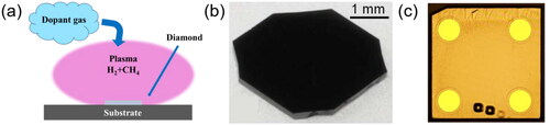Figure 3. (a) Schematic of dopant incorporation during CVD diamond growth process. (b) Heavily boron-doped diamond, showing dark color [Citation60]. (c) Phosphorous-doped diamond, showing yellow color [Citation66]. (b) Reproduced with permission from ref Citation60, Copyright 2010 American Institute of Physics. (c) Reproduced with permission from ref Citation66, Copyright 2016 Author(s). Published by AIP Publishing.