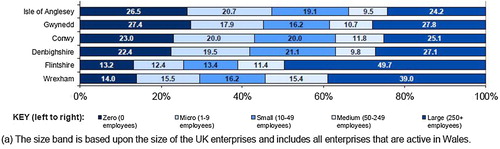 Figure 3. Percentage of employment by enterprise size band, 2017.Source: Welsh Government (Citation2018).