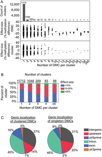 Figure 3. Sperm DMCs cluster into differentially methylated regions. (a) Number of clusters (upper panel) containing different number of DMCs and the corresponding effect size for each DMC (middle panel) and each cluster (bottom panel). (b) Percent of clusters with different effect size averaged across DMCs within the cluster. (c) Pie graph for genic location of the DMC in clusters and singletons, separately. The two largest clusters from RN45s (54 DMCs/cluster and 245 DMCs/cluster) were removed from further analyses due to poor annotation of this region.
