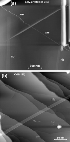 Figure 7 (a) An STM height image of graphene-based nanowires (nw) and nanobelts (nb) formed on a polycrystalline 0.4% C-doped Ni sheet, measured with a Pt–Ir tip at room temperature in UHV (Vs=0.79 V, It=0.1 nA). (b) An STM height image of a graphene nanobelt formed on a 0.4% C-doped Ni(111) substrate, measured with a Pt–Ir tip at room temperature in UHV (Vs=−0.96 V, It=0.1 nA).