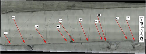 Figure 2. Typical overview of the flow cell with several fibers mounted in the fluid path (SVF: QFHA22, Fluid: PSF) with the arrows annotating single fibers.