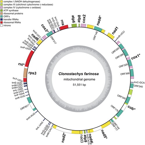 Figure 2. Circular maps and genetic compositions of Clonostachys farinosa strain CSC22A0184. Genes are located outside and color-coded by the functional classification. GC contents are shown on the inner circle. The names of genes containing introns are marked with an asterisk, and the names of genes or ORFs assigned inside the intron are located inside the outer circle.