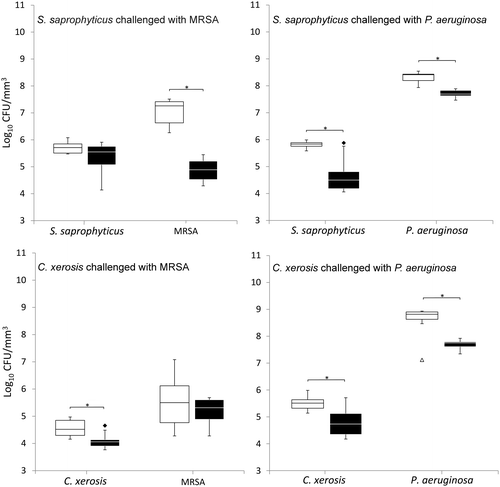 Figure 2. Viable counts of axenic and combined cultures of pre-established communities of S. saprophyticus and C. xerosis when exposed to the transient pathogenic bacteria MRSA and P. aeruginosa in simulated sweat. Data are means of three separate experiments. Asterisks indicate significant differences (p < 0.05). White boxes, axenic culture; black boxes, binary culture; minimum and maximum outliers are also indicated.