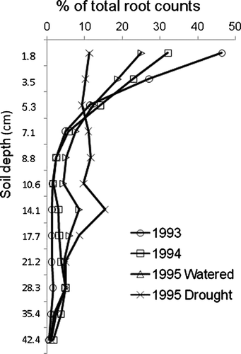 Fig. 5  Average vertical distribution of root counts for the five ryegrasses, as a percentage of total root counts, for well-watered treatments in 1993, 1994 and 1995, and the summer drought stressed treatment in 1995.