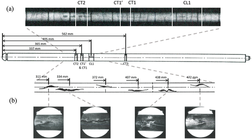 Fig. 7. (a) Neutron radiographs of the same section. The cutting scheme based on the nondestructive analysis is indicated on the fuel rod and (b) Locations of the damaged rod sections enriched with images of the cracks.