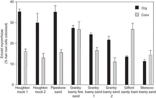 FIGURE 2 The percentage of hair root cells colonized by ericoid mycorrhizae in organic (Org) and conventional (Conv) blueberry fields paired by soil series in Michigan. Error bars represent one standard error of the mean of samples collected on July 6–7, August 21–22, and October 9–10, 2009.