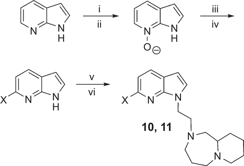 Scheme 4.  Reagents and conditions: (i) m-chloroperoxybenzoic acid (CPBA), acetone, r.t., 20 h, 81%; (ii) K2CO3, r.t., 15 min, 98%; (iii) hexamethyldisilazane (HMDS), PhCOBr or PhCOCl, THF, r.t., 2 h, 58–63%; (iv) 1M NaOH, MeOH, r.t., 14 h, 98%; (v) 1,2-dibromoethane, Bu4NI, 50% NaOH, r.t., 18 h, 86–94%; (vi) decahydropyrido[1,2-a][1,4]diazepine, K2CO3, KI, MeCN, 60°C, 2 h, 47–49%.