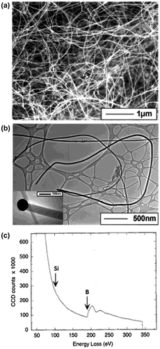 Figure 1. Amorphous boron nanowires synthesized by CVD method. (a) SEM image of the boron nanowires. (b) TEM image of the boron nanowires. The inset shows the tip of one nanowire. (c) EELS spectrum recorded on the boron nanowires. Reproduced from Ref. [Citation99] by permission of John Wiley & Sons Ltd.
