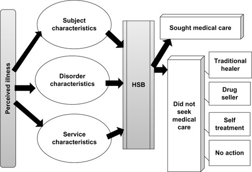 Figure 1 Factors affecting HSB for common childhood illnesses; study variables.