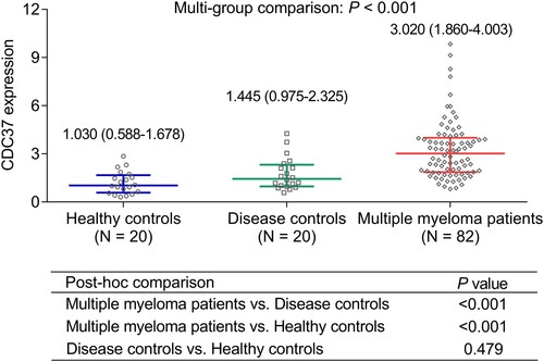 Figure 1. Comparison of CDC37 among multiple myeloma patients, disease controls, and healthy controls.