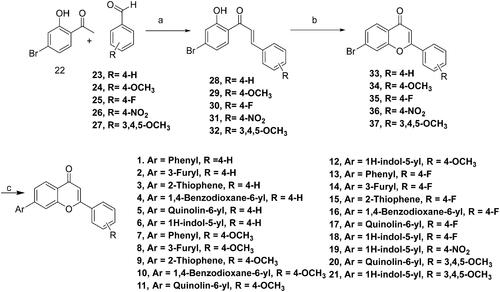 Scheme 1. Reagents and conditions: (A) NaOH, Ethanol, rt, 24h; (B) I2, DMSO, reflux, 24 Wh; (C) aryl/heteroaryl boronic acids, Pd(PPh3), Dioxane: Water (9:3), reflux, 100 °C, 2h.